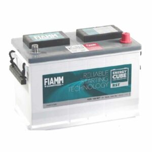 Fiamm G288 100 100 AH 70 Commercial Battery