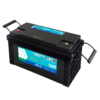 FIAMM Neptune LSB125 AGM 125Ah