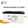 SunStone Power Deep Cycle 12V 160AH Gel Battery